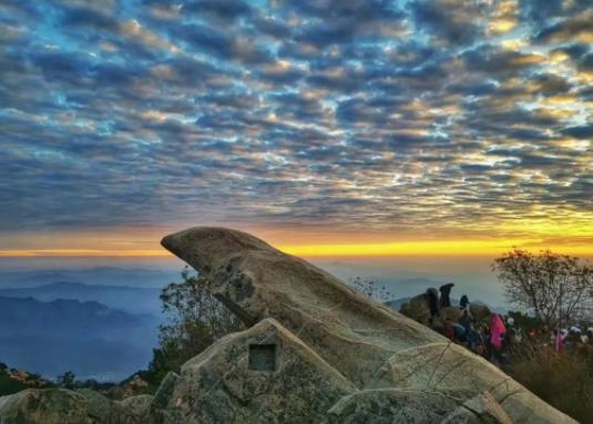 泰山黃山哪個地方比較好玩?泰山在哪里開始爬比較好 泰山黃山哪個地方比較好玩?泰山在哪里開始爬比較好