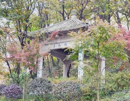 南京免費又好玩的景點,玄武湖山水愜意、夫子廟文化氛圍濃厚 南京免費又好玩的景點,玄武湖山水愜意、夫子廟文化氛圍濃厚