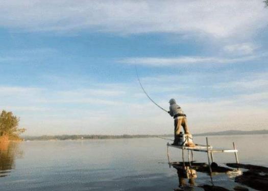 釣大鯽魚(yú)用什么餌好?什么天氣夜釣魚(yú)口好 釣大鯽魚(yú)用什么餌好?什么天氣夜釣魚(yú)口好