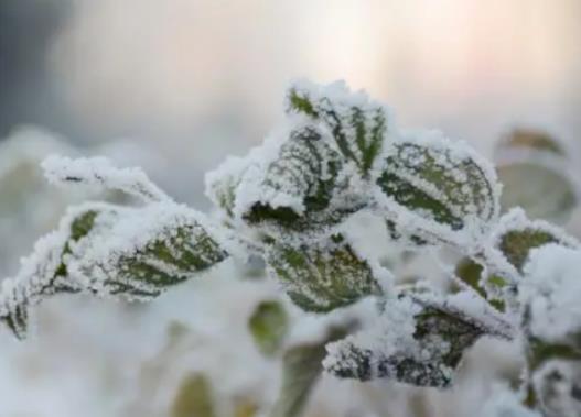 吉林霧凇冰雪節(jié)焰火燃放是在幾點(diǎn)?吉林市霧凇冰雪節(jié)在哪里舉辦 吉林霧凇冰雪節(jié)焰火燃放是在幾點(diǎn)?吉林市霧凇冰雪節(jié)在哪里舉辦