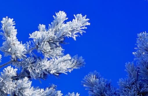 霧凇島霧凇什么時候能看到?2024年吉林冬天中到大雪最低溫度是多少 霧凇島霧凇什么時候能看到?2024年吉林冬天中到大雪最低溫度是多少