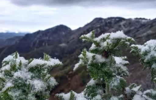 湖南今年冬天有雪嗎?每年冬天湖南都會下雪嗎 湖南今年冬天有雪嗎?每年冬天湖南都會下雪嗎