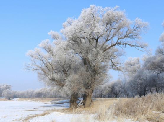 哈爾濱冰雪大世界市民票哪些人能買?冰雪大世界市民票怎么買 哈爾濱冰雪大世界市民票哪些人能買?冰雪大世界市民票怎么買